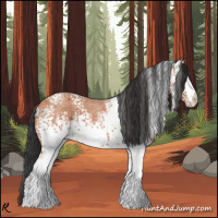 Horse Color:White Spotted Bay Roan