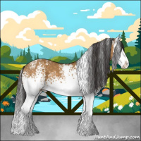 Horse Color:White Spotted Buckskin Dun Splash 
