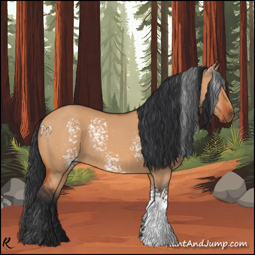 Horse Color:White Spotted Bay Dun 