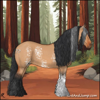 Horse Color:White Spotted Bay Dun 