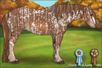 Horse Color:Palomino Appaloosa and Chestnut