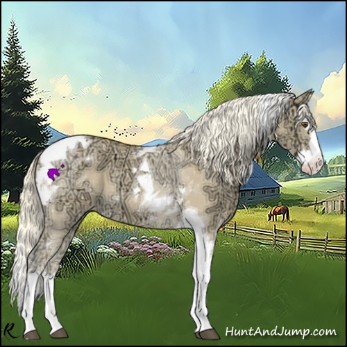 Horse Color:Palomino Ice Dun Splash Tobiano