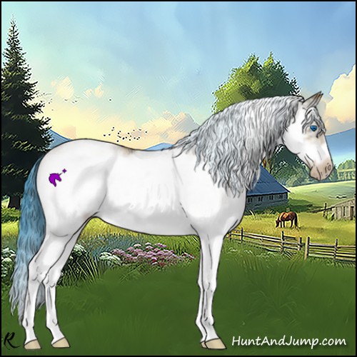 Horse Color:Watercolor White Spotted Bay Ice Splash Frame Varnish