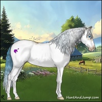 Horse Color:Watercolor White Spotted Bay Ice Splash Frame Varnish 