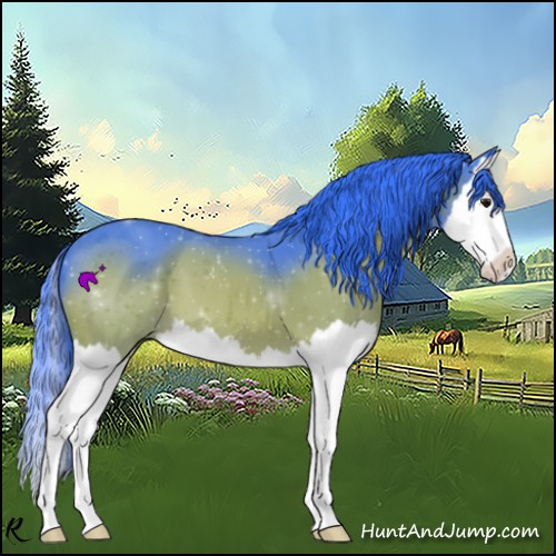 Horse Color:Watercolor Bay Splash