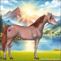 Horse Color:Red Dun 