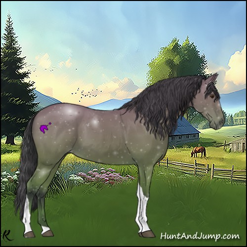 Horse Color:Bay Tobiano 