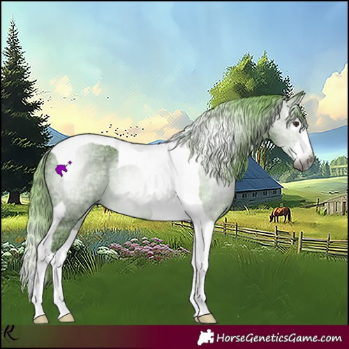 Horse Color:Gray Watercolor White Spotted Chestnut Ice Splash Tobiano 