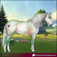 Horse Color:Gray Watercolor Silver Bay Tobiano 
