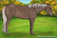 Horse Color:Silver Black 