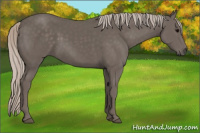 Horse Color:Silver Black 