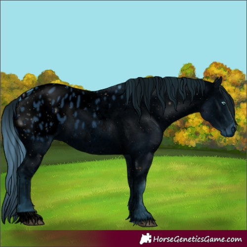 Horse Color:ERROR: UNKNOWN ANOMALY