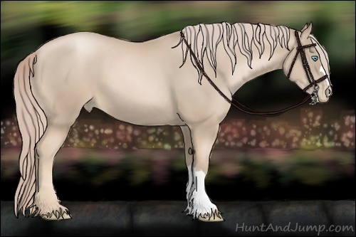 Horse Color:Chocolate Palomino Pearl 