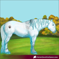 Horse Color:Gray Void Thunderstruck White Spotted Silver Bay Dun Splash 