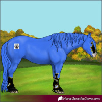 Horse Color:Watercolor Black 