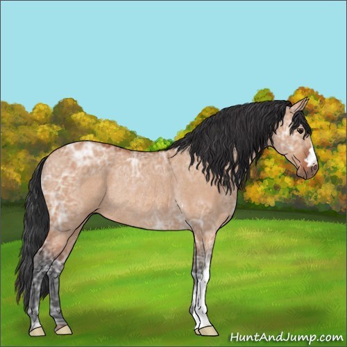 Horse Color:Brown Ice Dun Rabicano 