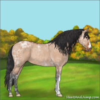 Horse Color:Brown Ice Dun Rabicano 