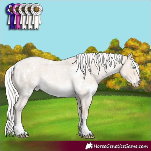 Horse Color:White Spotted Silver Smoky Creme Roan 
