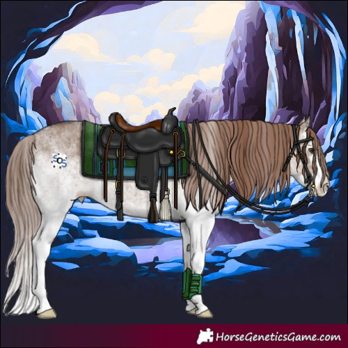 Horse Color:White Spotted Liver Red Dun Splash 