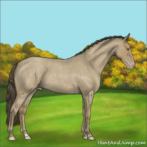 Horse Color:Classic Cream Champagne Roan