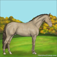 Horse Color:Classic Cream Champagne Roan 