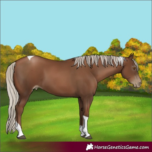 Horse Color:Gray Silver Black Pearl Tobiano 