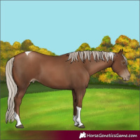 Horse Color:Gray Silver Black Pearl Tobiano 