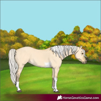 Horse Color:Silver Buckskin Dun Tobiano 
