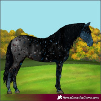 Horse Color:ERROR: UNKNOWN ANOMALY