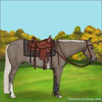 Horse Color:Silver Smoky Black Rabicano