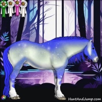 Horse Color:Watercolor Bay Onyx 