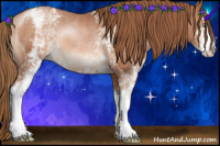 Horse Color:White Spotted Bay Pearl Sabino Varnish Rabicano