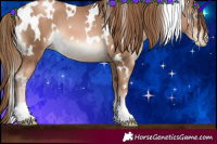 Horse Color:White Spotted Liver Chestnut Pearl 