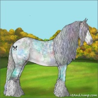 Horse Color:Nacre Silver Brown Chinchilla Ice 