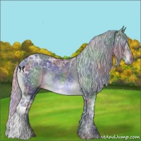 Horse Color:Nacre Silver Black Chinchilla Ice