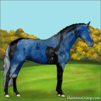 Horse Color:ERROR: UNKNOWN ANOMALY