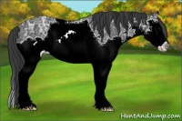 Horse Color:Black Ice Splash 