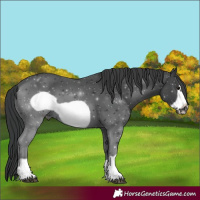 Horse Color:Black Frame 