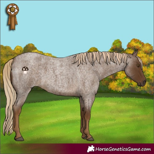 Horse Color:Chocolate Palomino Roan Rabicano