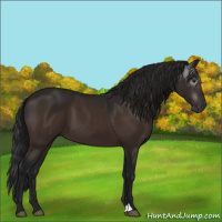 Horse Color:Gray Brown 