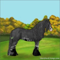 Horse Color:Black Sabino