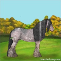 Horse Color:White Spotted Black Ice 