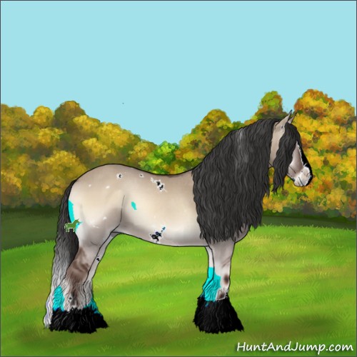 Horse Color:White Spotted Liver Red Dun Onyx Sabino Splash 