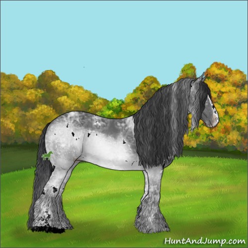 Horse Color:White Spotted Black Ice Sabino 