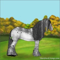 Horse Color:White Spotted Black Ice Sabino 