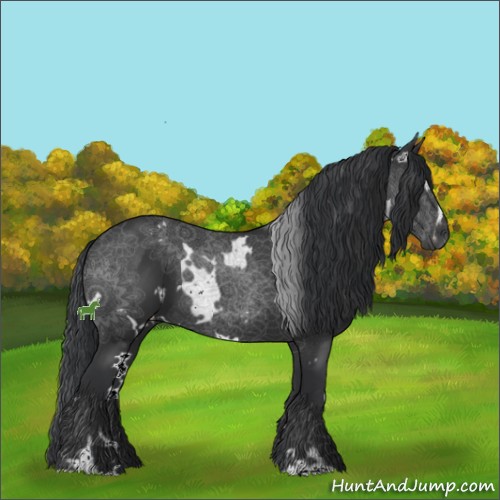 Horse Color:White Spotted Black Sabino