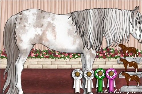 Horse Color:White Spotted Bay Varnish 