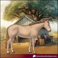 Horse Color:Red Dun 