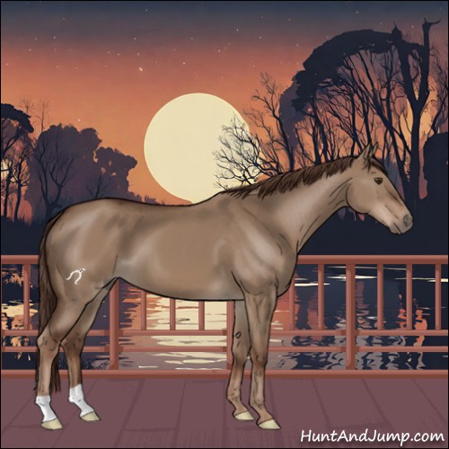 Horse Color:Liver Red Dun 