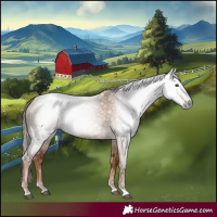 Horse Color:Gray Red Dun